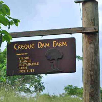 Creque Dam Farm in St. Croix's rain forest