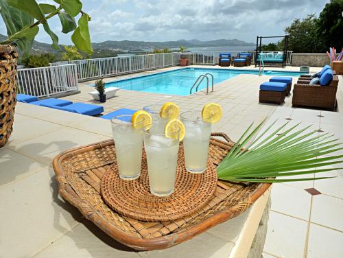 rental villa with pool on st croix virgin islands