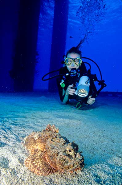 night dive on st croix