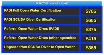 St Croix SCUBA PADI Openwater training prices